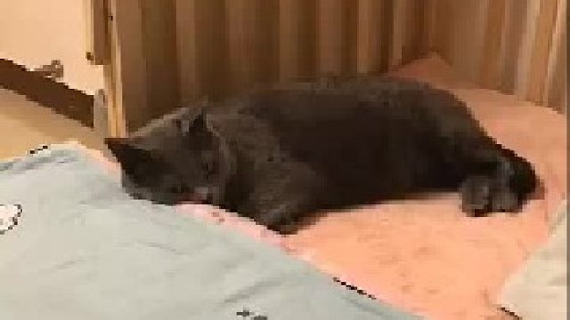 愿这个夏天……好消息多一点