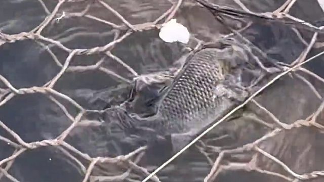 上来时好好的，差点回不去了