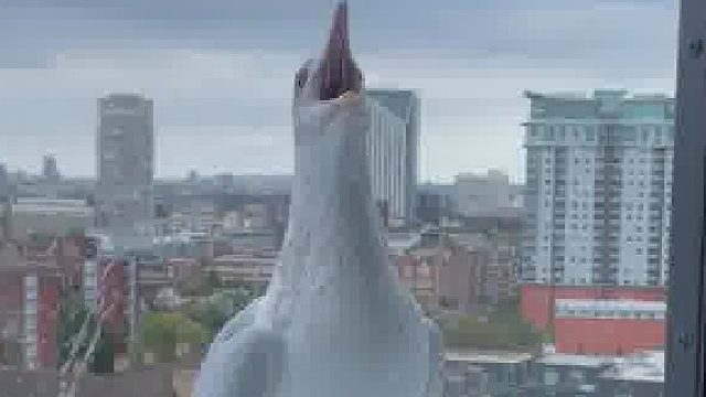 哪位大神翻译下