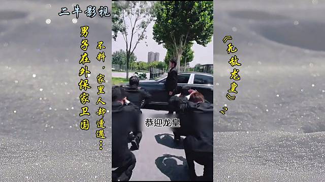 无敌龙皇