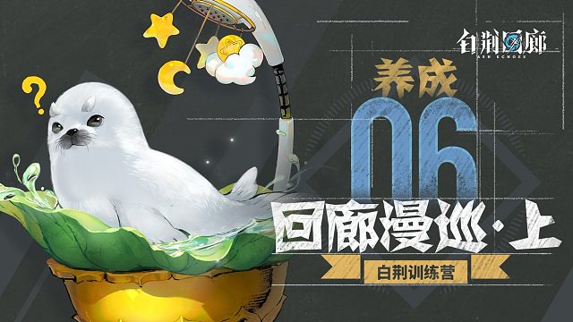 《白荆训练营》第六期：回廊漫巡（上篇）- 养成