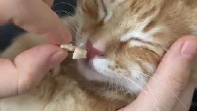 短暂开机→再次关机