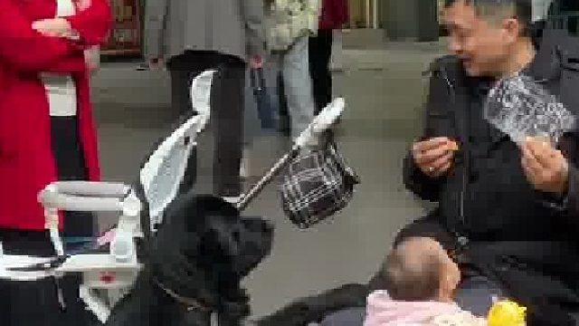 狗一口 孙子一口