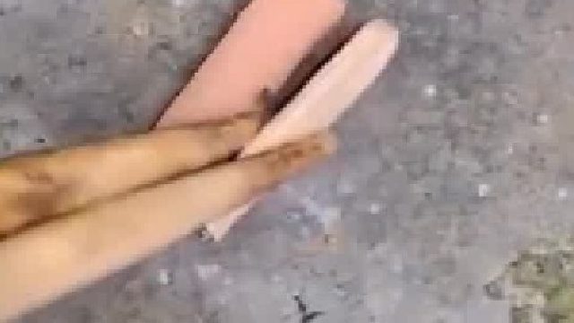 第一个蚂蚁会死？