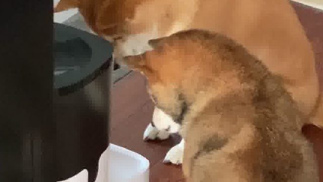 家庭地位很明确……