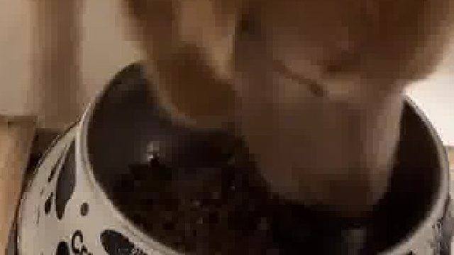 吃个饭嘴都要怼肿了