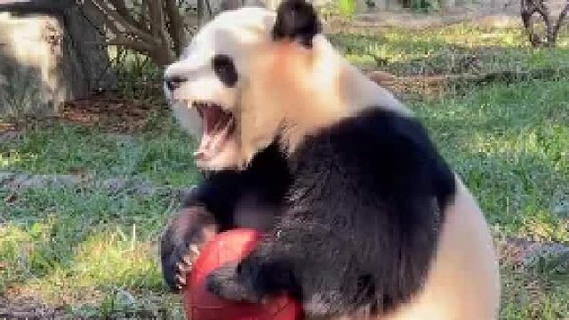 早八的我。。。那么早就要上班了，好困啊