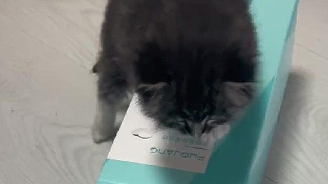 猫猫：我控制不住我寄几