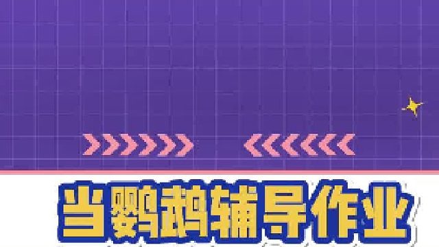 鹦鹉：你是我带过最差的一届