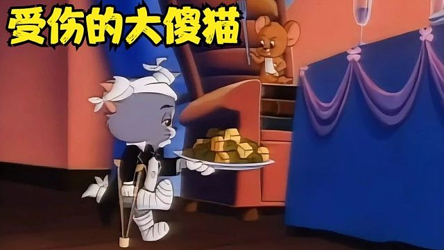 老韩小伟给猫粮作代言，代言没做成，变成服务生啦，你说招笑不