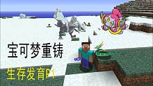 宝可梦服务器发育P1：神兽抽奖，君主蛇满级