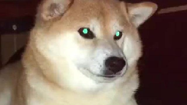 一边呲牙一边配合