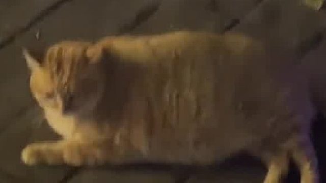 不好意思 吓到学长了