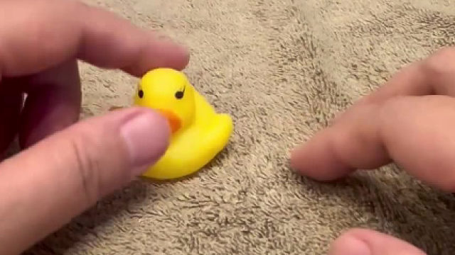 除了我之外，你不可以有其他的鸟，鸭子也不行！