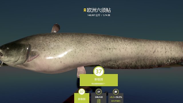 小号星猪二连-片段1