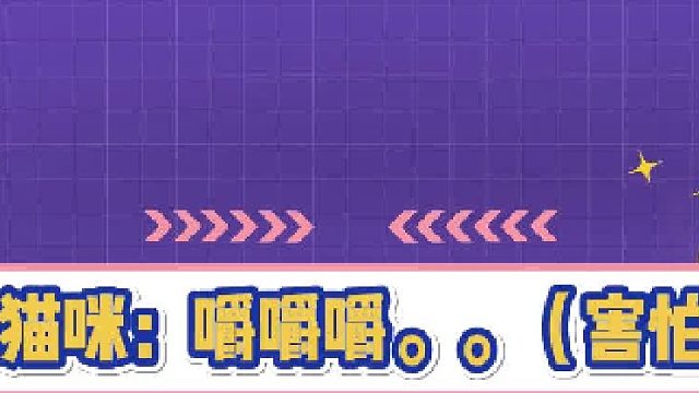 猫：我就吃个饭不至于吧