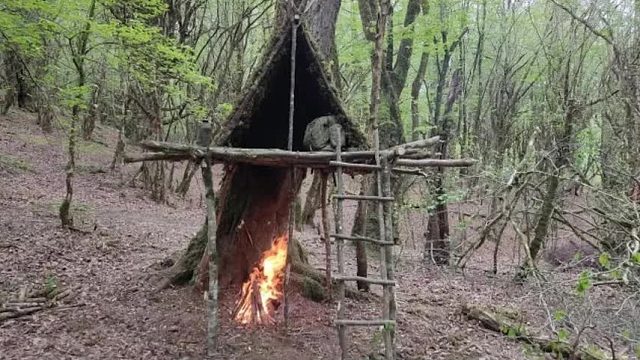 为躲避大山里的蛇虫鼠蚁，大叔想到了妙招，将庇护所搭建在半空中
