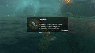 席恩.希達(dá)吉神廟攻略