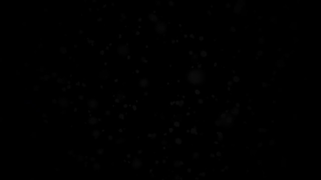 我是新来的主播