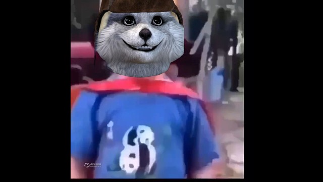 看清楚了，我可是会飞的