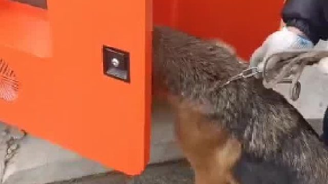 洗狗机都有了，洗头机也不远了吧