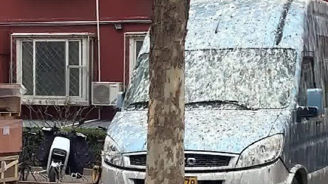 众所周知，在北师大没有人敢仰天长啸