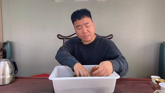 越南金钱龟大米底公，这也太清秀干净的底部了吧