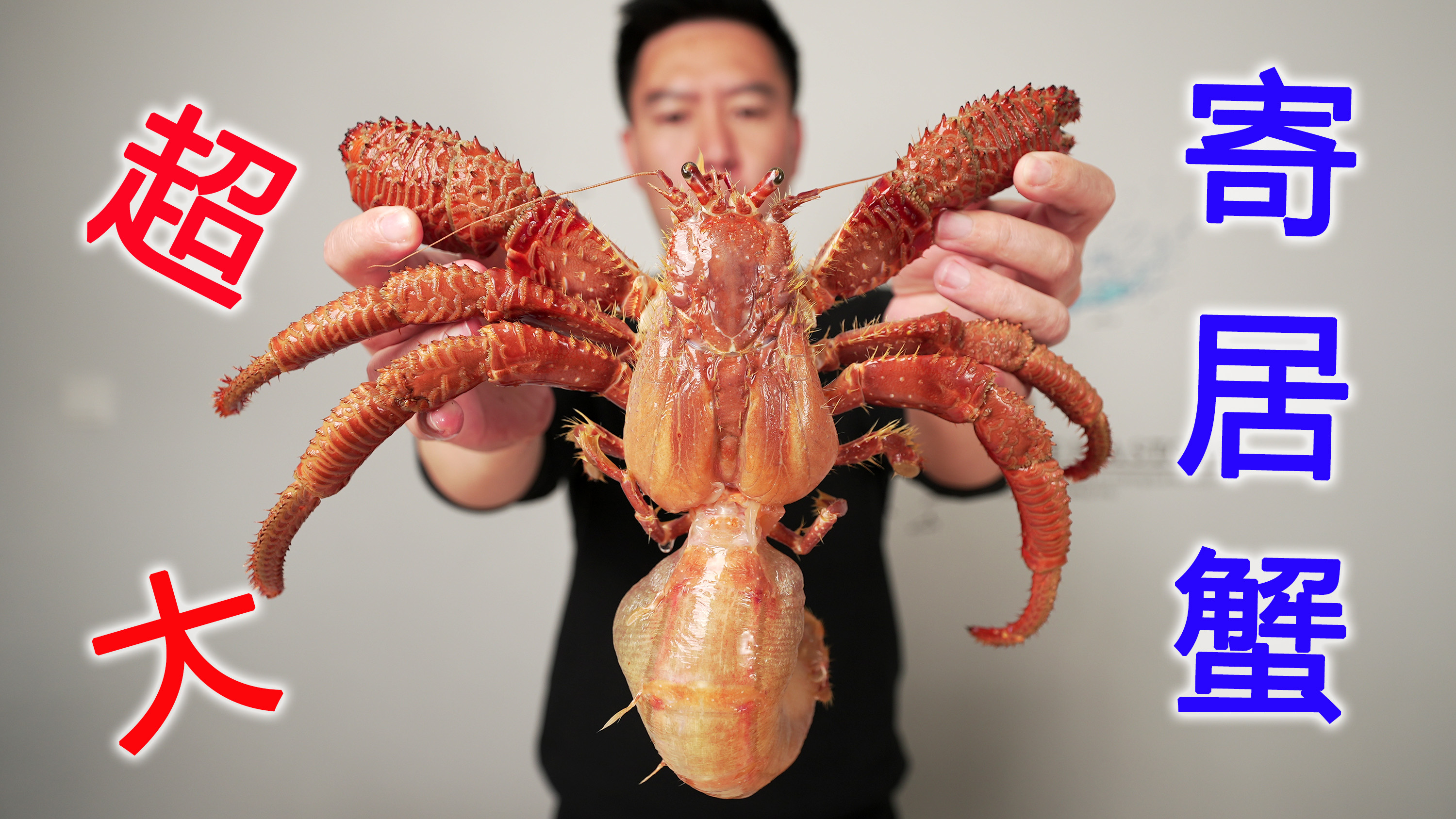 （上）超大真寄居蟹，屁股里藏的全是精华，一口下去会爆浆