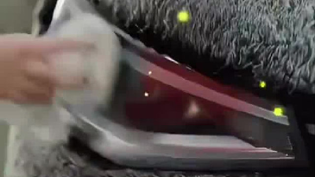 宠物店老板看了哭泣，贴车衣老板看了沉默