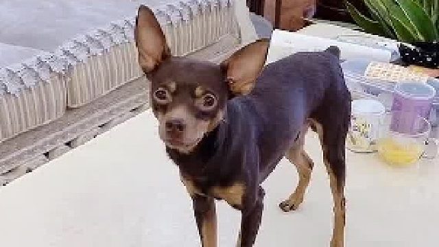 你用我教会的技能来折磨我，我一定要把它扔掉