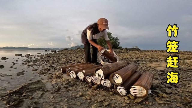 赶海捕鱼：渔民趁着海水退潮在礁石缝隙中防止竹筒陷阱收获满满！