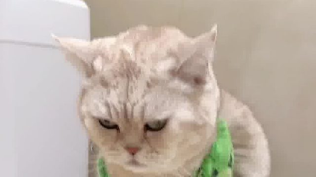 太有意思啦