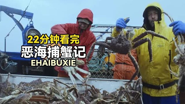 22分钟看完恶海捕蟹记：大佬顶着巨浪投放蟹笼，一天收获几万美金