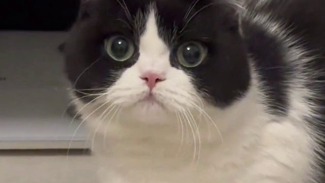 非要我满眼失望地看着你吗？饭呢！