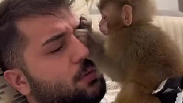 捉不出俩跳骚，都对不起猴孩子这份苦心