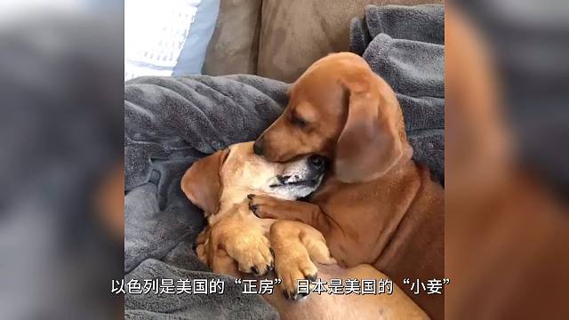 特此声明：配图与内容无关！