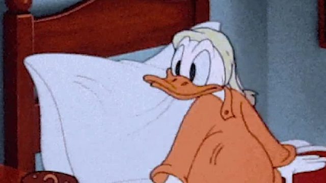 啊，五分钟根本不够