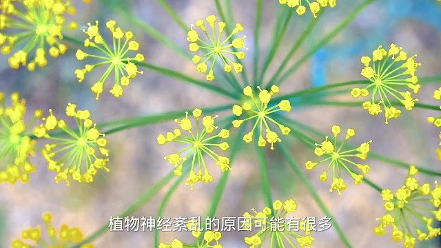 3以上状态#愿天下更健康更长寿