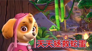 汪汪隊(duì)立大功世界：天天叢林拯救蛇蛋 毛毛救下鸚鵡美蒂