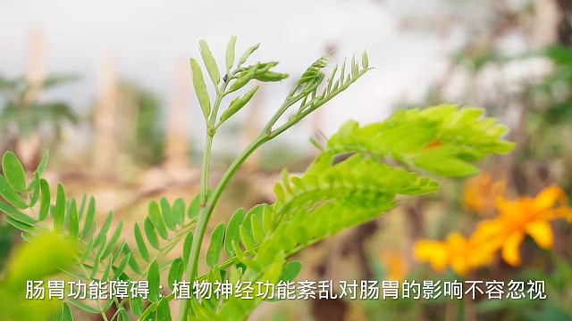 4状态#愿天下更健康更长寿