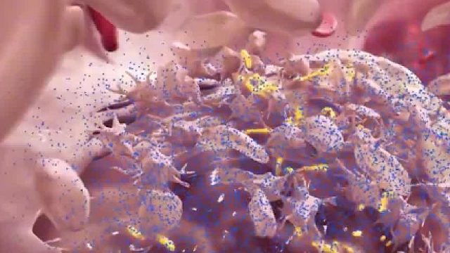 如果一个人胆固醇偏高，身体会发生什么变化，揭开人体血液的秘密03