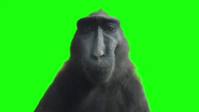 ai是个 神奇的东西