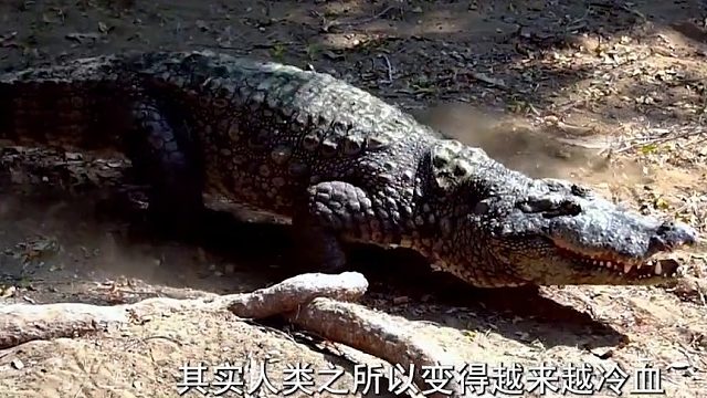 人的体温为什么不再是37℃，体温降低对人类而言，并非好事02