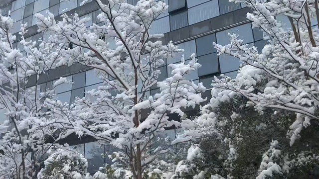 他朝若是同淋雪，此生也算共白头～