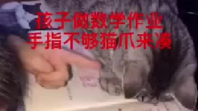 孩子做数学题，手指不够，猫爪来凑。网友：养猫千日，用猫一时。