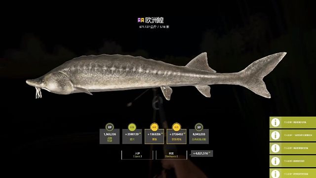 5185卡坑鳇671K起鱼视频