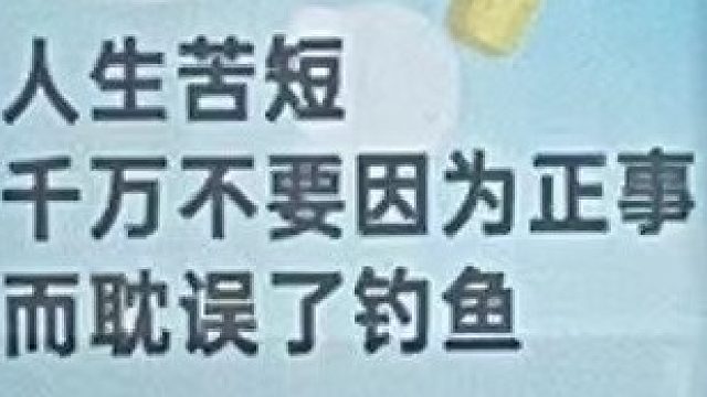 是鼠鲨还是剑鱼呢？