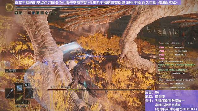 【沐】魔法篇-魔剑流番外篇74 姐姐龙（战术意图：输出-爆发）