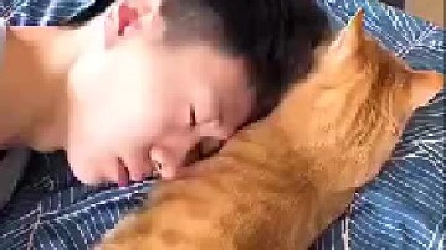 有男朋友的千万别养猫，毛茸茸的小三可厉害呢