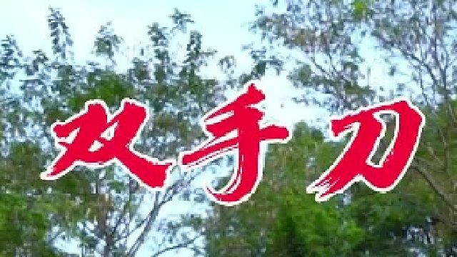 这大刀真不是一般的重呀，天天喊着嫌轻的，你来武一个试试